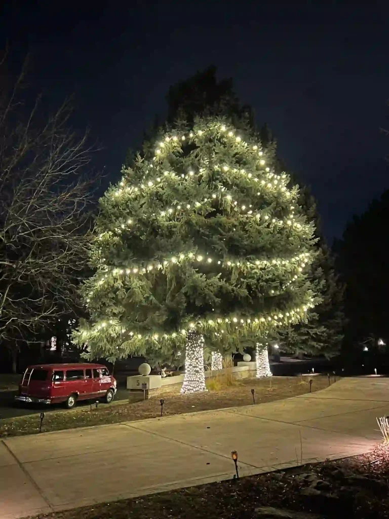 Christmas Light Installation project in Arvada CO