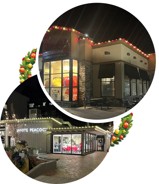 Denver Christmas Light Installation Service