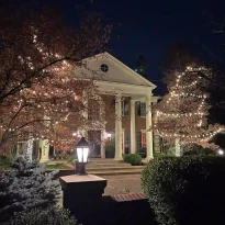 Custom Tree Lighting