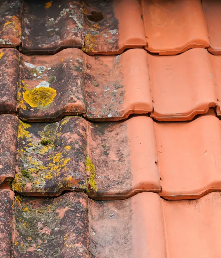 Roof Cleaning Slidell