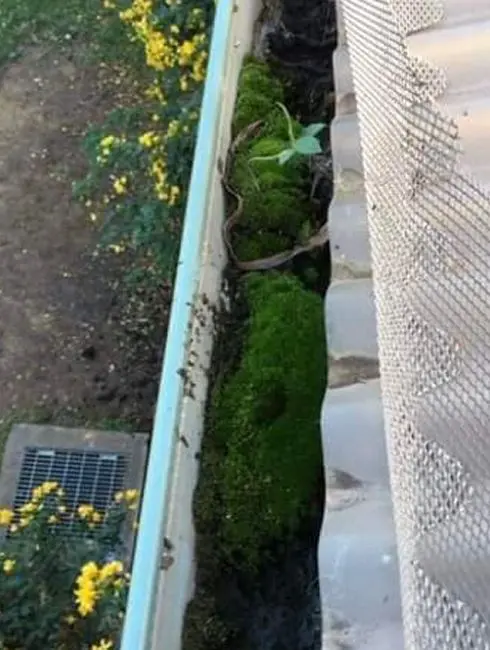 Gutter Cleaning Halifax