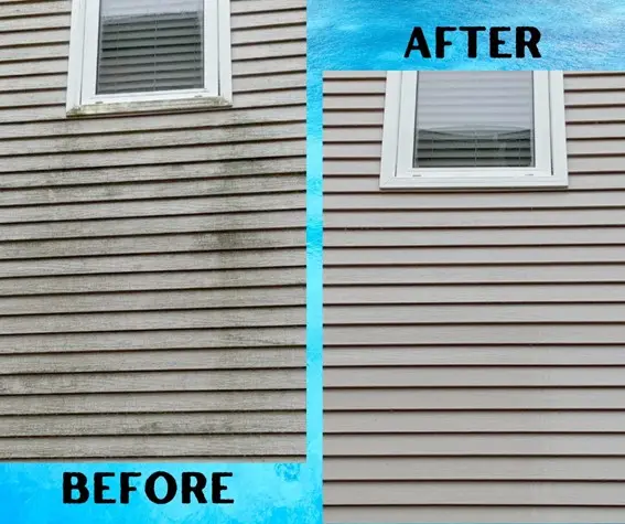 Trusted Pressure Washing Professionals in Eastern Passage, NS