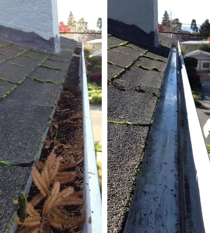 gutter cleaning