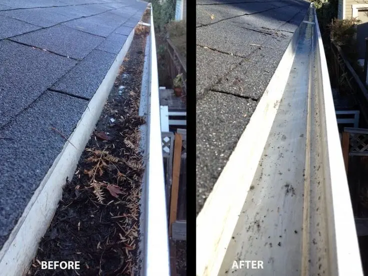 Gutter Cleaning Leesburg, FL