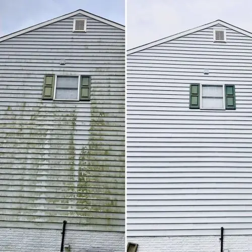 Pressure Washing Wildwood FL (1)
