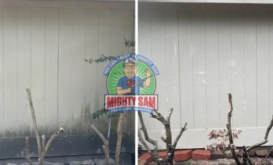 Pressure Washing Sugar Land, TX
