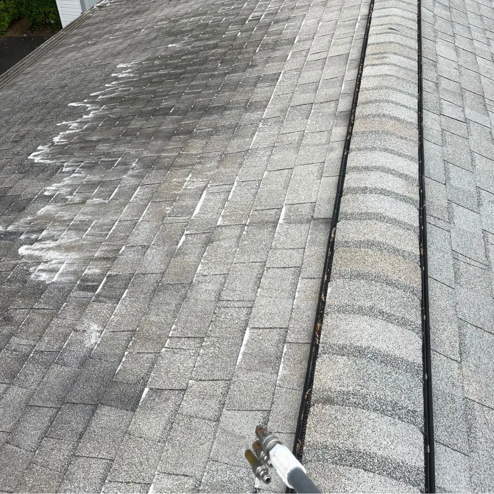Roof Cleaning services in Centreville VA