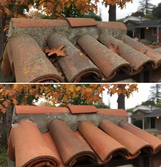 Roof Cleaning San Jose