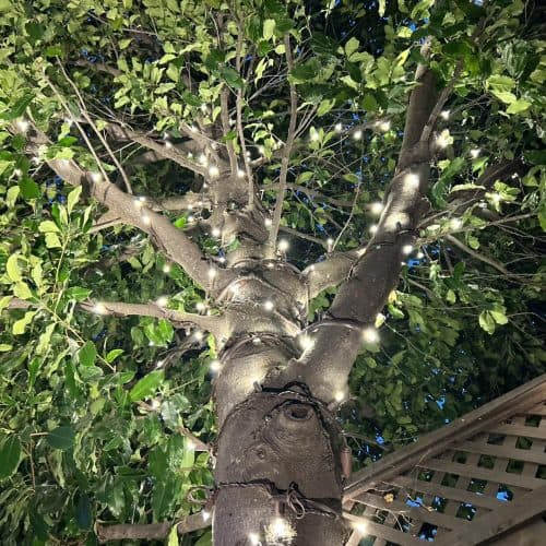 Christmas Light Installation San Jose CA