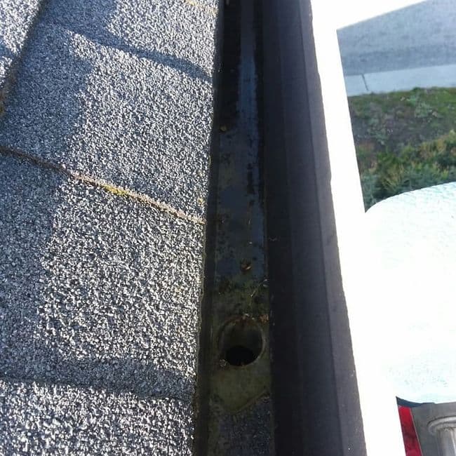 Gutter Cleaning San Jose