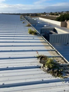 Gutter Cleaning At The Food Bank For Monterey County, Ca

