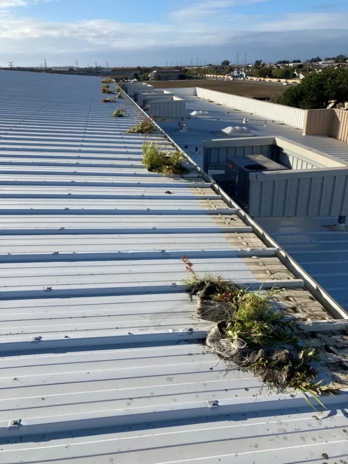 Gutter Cleaning At The Food Bank For Monterey County, Ca
