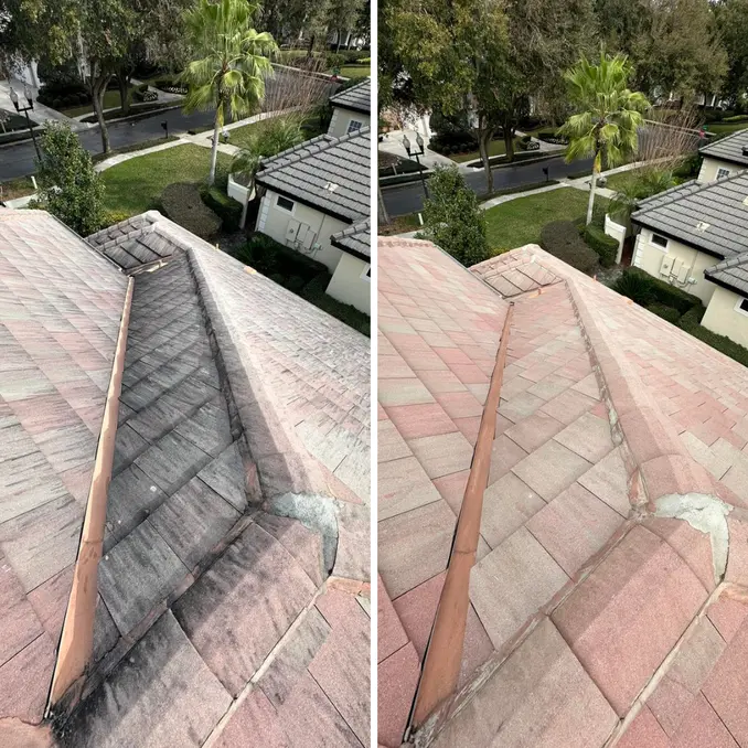 Roof Cleaning Orlando FL