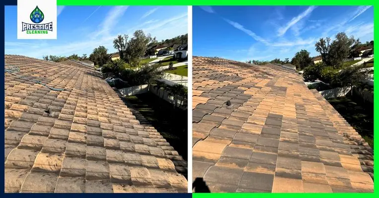 Roof Cleaning Casselberry, FL
