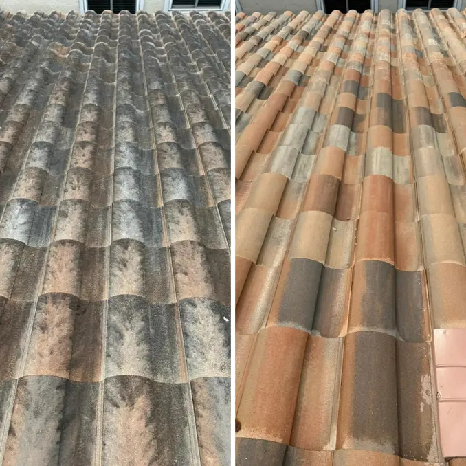 Roof Cleaning Orlando FL