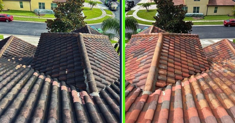 Roof Cleaning results in Lake Mary FL