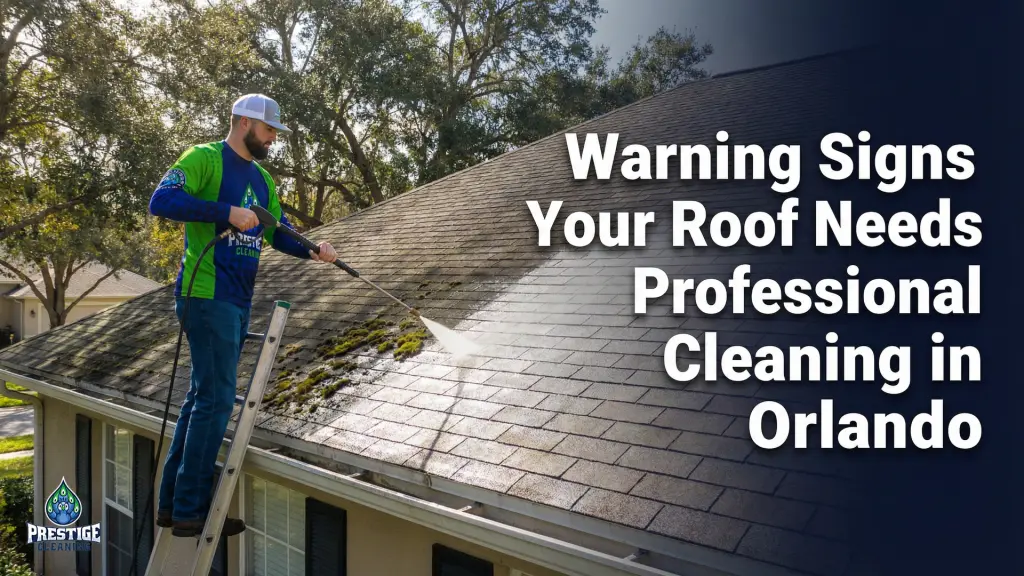 Warning Signs Your Roof Needs Professional Cleaning in Orlando