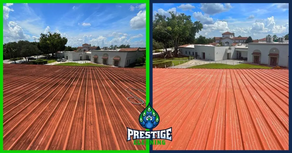 How Often Should I Get My Roof Cleaned in Orlando?