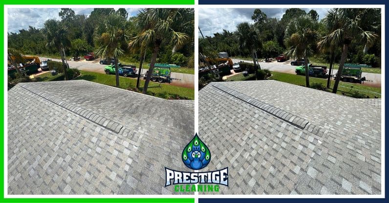 Roof Cleaning project in Lake Mary FL