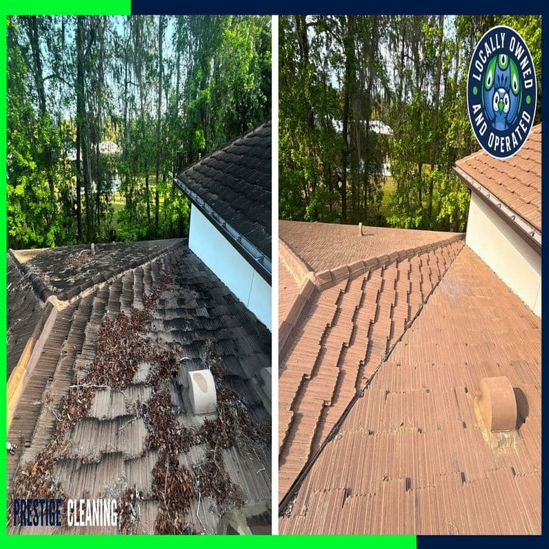Roof Cleaning results in Wekiwa Springs FL