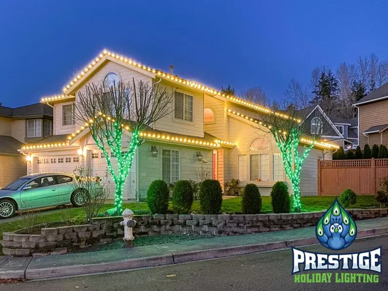 Christmas Light Installation job in Oviedo FL