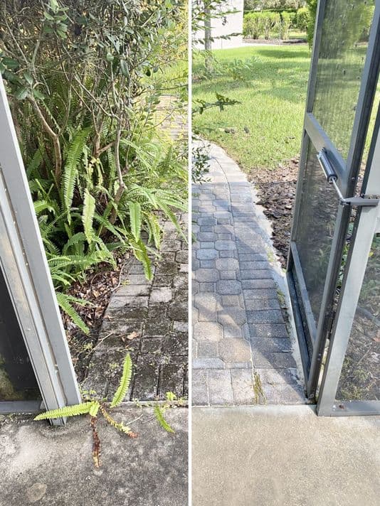 Pressure Washing Orlando FL