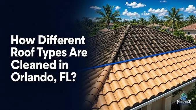 How Different Roof Types Are Cleaned in Orlando, FL