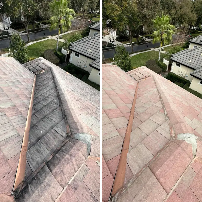 Roof Cleaning in Geneva FL area