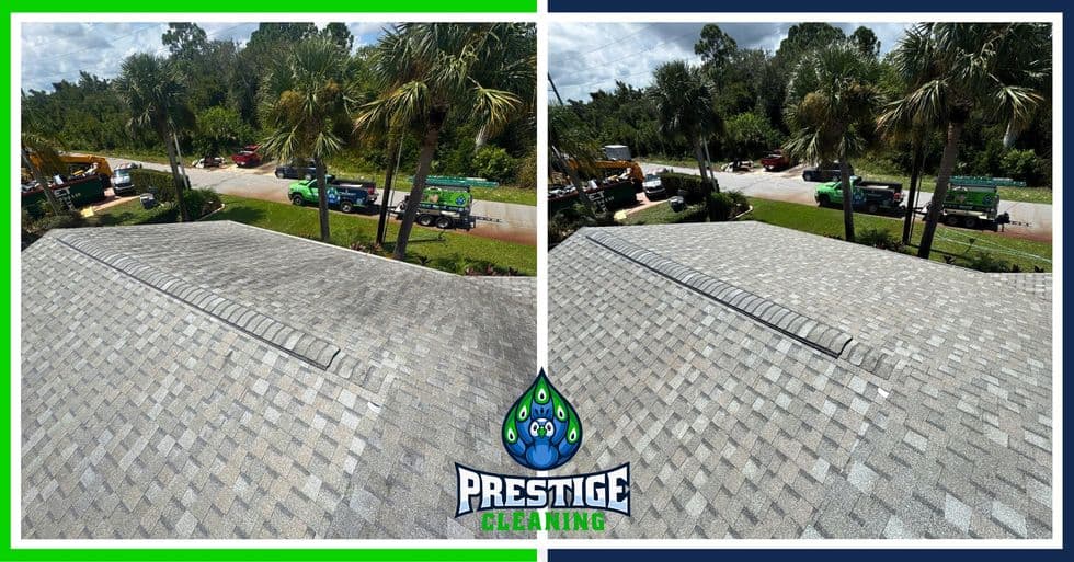 Roof Cleaning job in Geneva FL