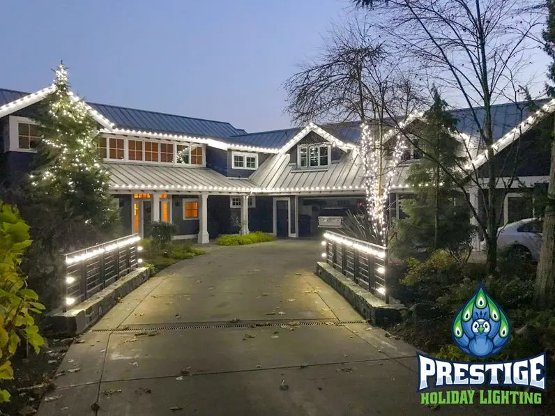 Christmas Light Installation service in Oviedo FL