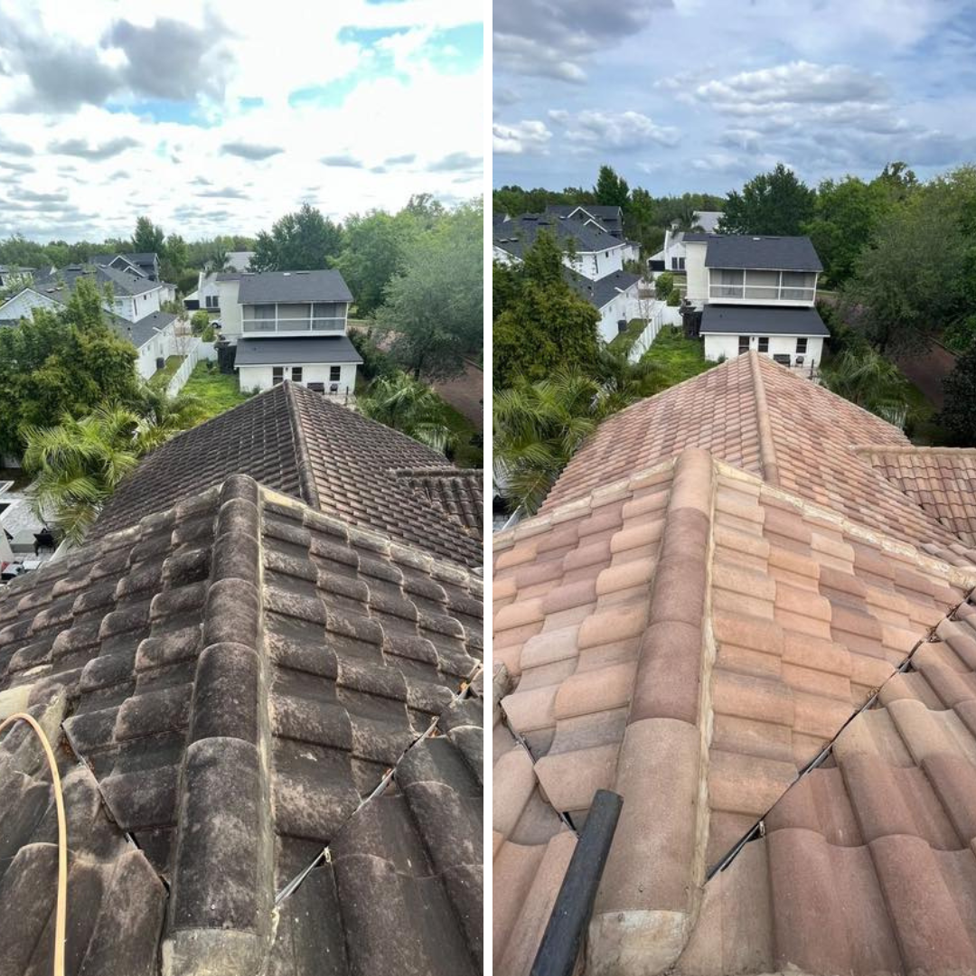Roof Cleaning job in Orlando FL