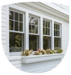 Exterior Windows