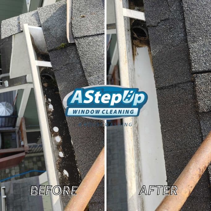 Gum Removal Minneapolis
