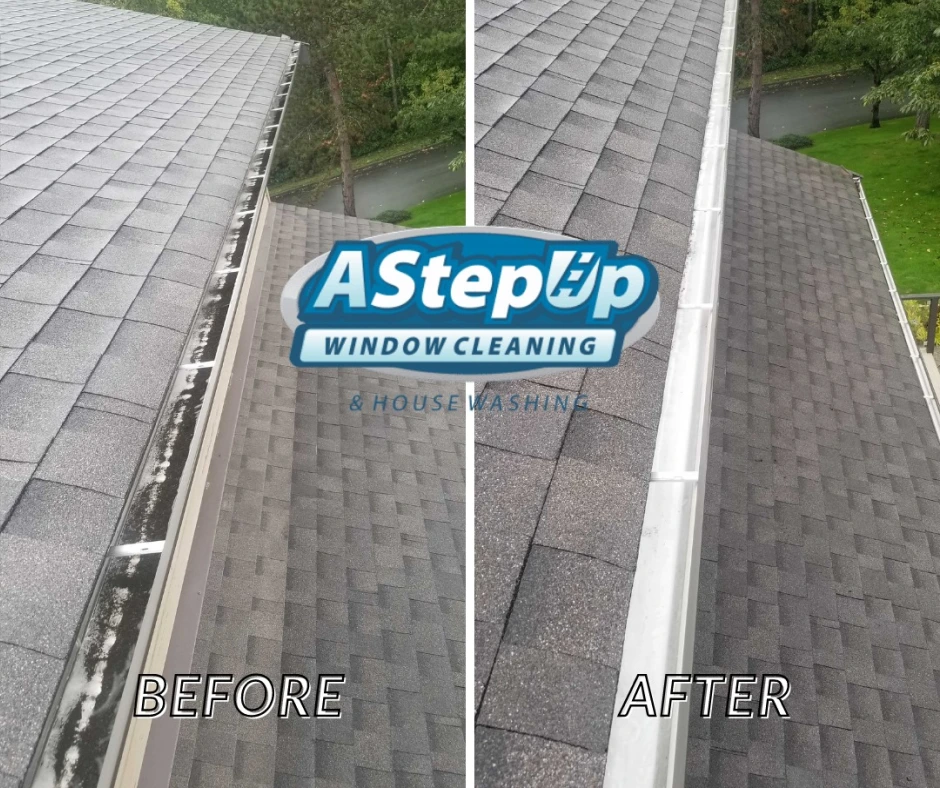 Gutter Cleaning Minneapolis