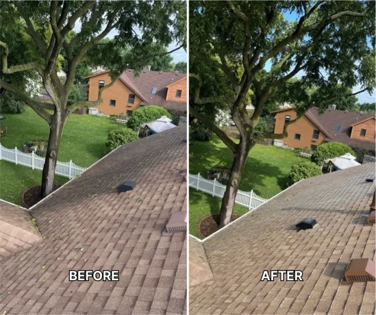 Roof Cleaning Minneapolis