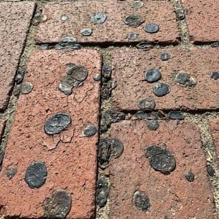 02_brick_pavers_gum