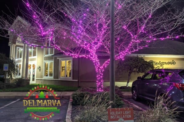 Christmas Light Installation Salisbury MD