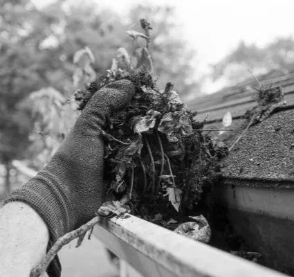 gutter cleaner near me 3