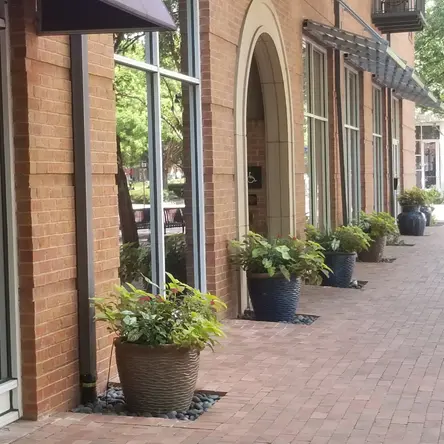 Restaurants