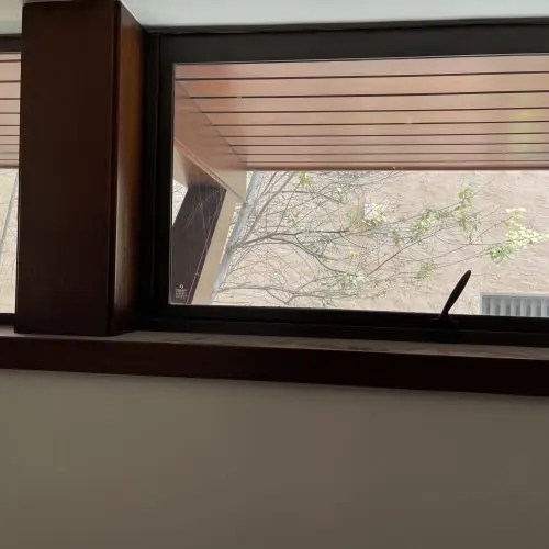 Window Cleaning Los Angeles CA