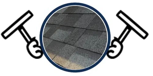 Shingle Roof