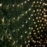 Net lights