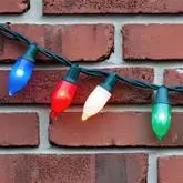 C9 and&nbsp;C7 bulbs