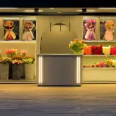 Commercial Buildings and Storefronts