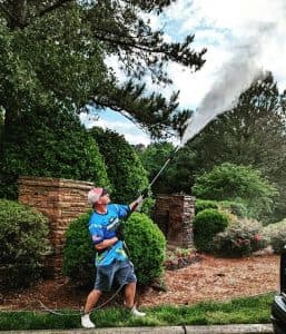 Artillery Fungus House Cleaning