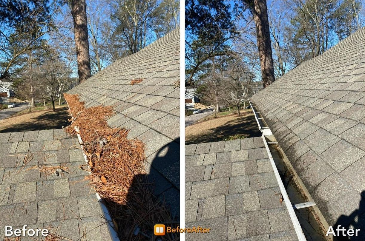 Gutter Cleaning Apex, NC