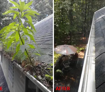 Window Cleaning Charlotte NC