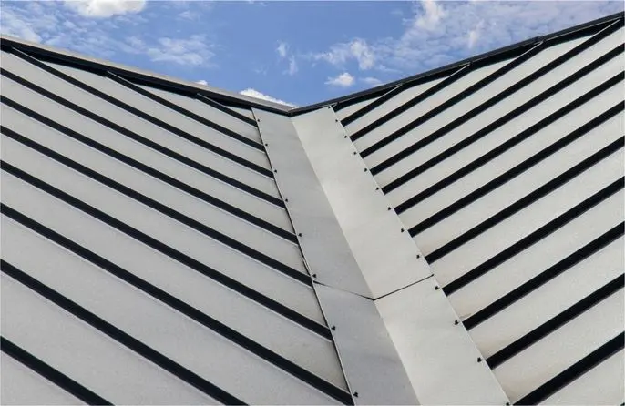 Roof Cleaning