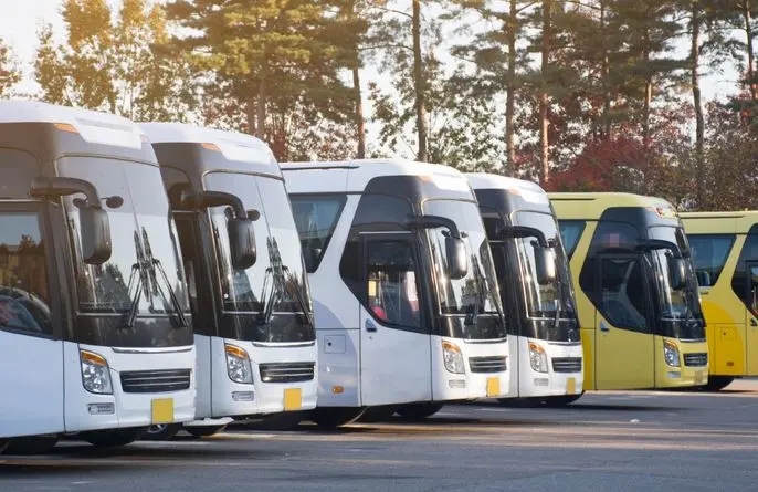 Buses and Public Transport Vehicles