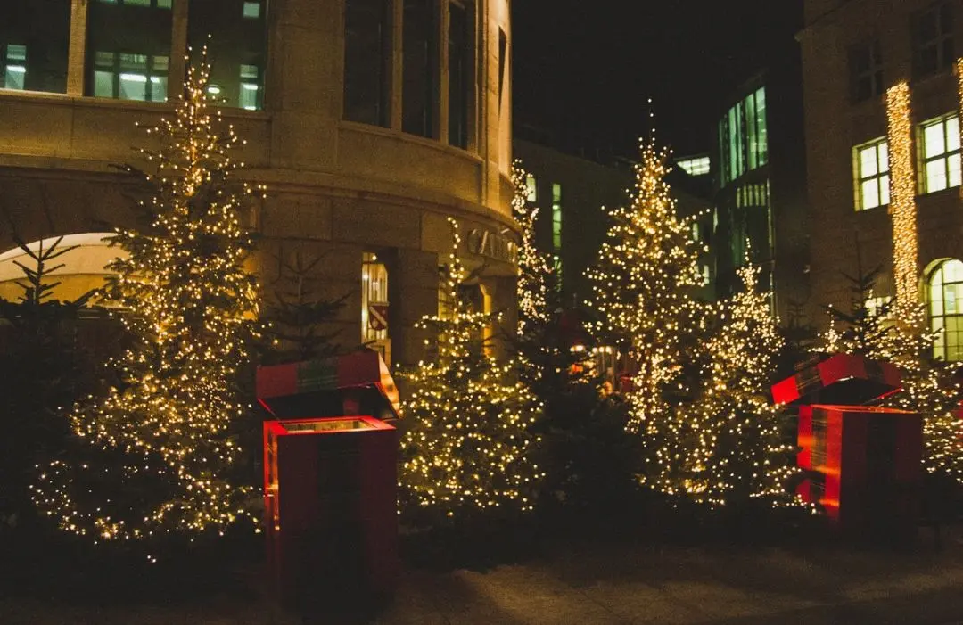 Tree and Landscape Lighting&nbsp;